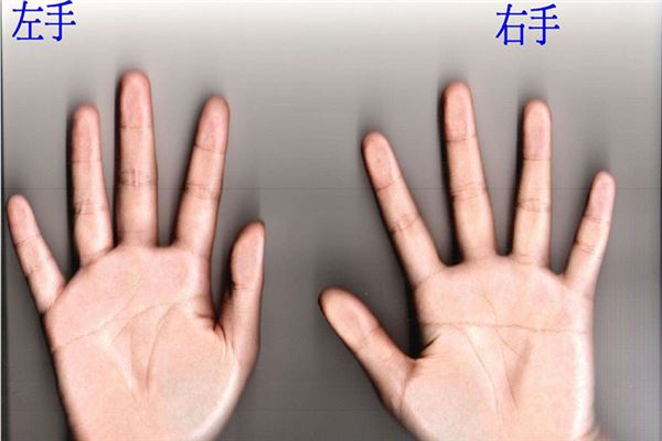 双手皆为断掌的男人的特征