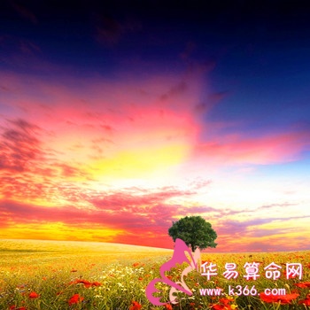 详解庚寅松柏木的具体含义