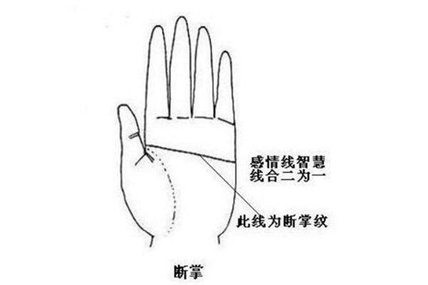 断掌男人的命运是好是坏