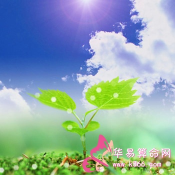 详解癸丑桑柘木的具体含义