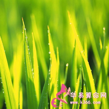 详解丙申山下火的具体含义