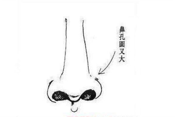 2018年男人的鼻子看相图解