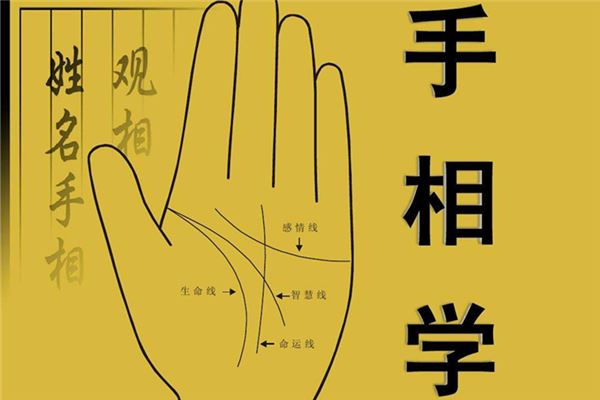 男人手相的算命解析