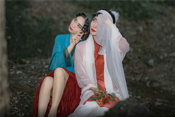 戊子年是属哪一年