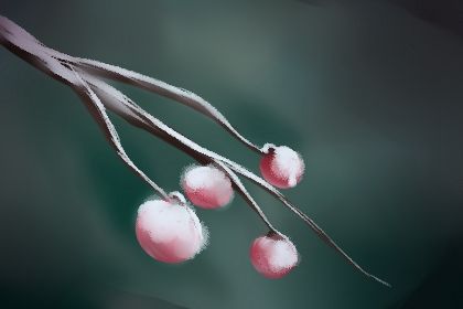 高层楼房阳台摆放这几种植物可以招桃花运