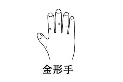 分析金形手的手相财运运势