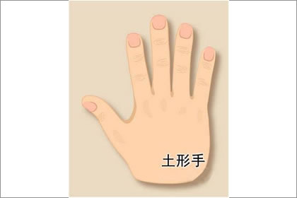分析土形手的手相财运运势