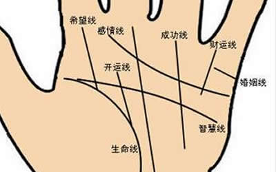 什么是财运线 手相财运线在哪里
