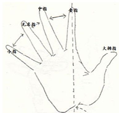 由手指长短看你财运