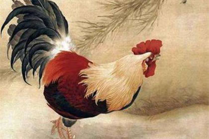 属鸡的今日打麻将怎么样 分析属鸡今日财运