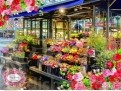 古风韵味的花店名字大全