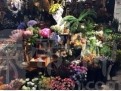 古典有创意的花店名字