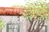 新生儿取名字 SO简单