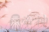 宝宝取名大全 人手一本天下你有