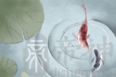 个性的吃鸡游戏昵称 钢枪王