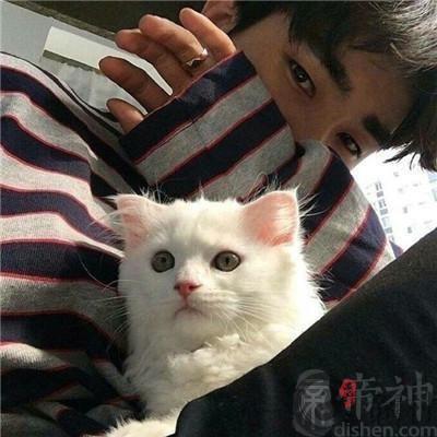 高档又高贵的宠物名字英文版