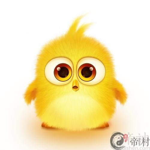 长不大的小鸡宠物名字萌感十足