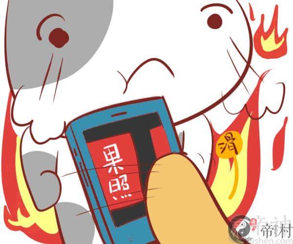 金牛座的极品室友