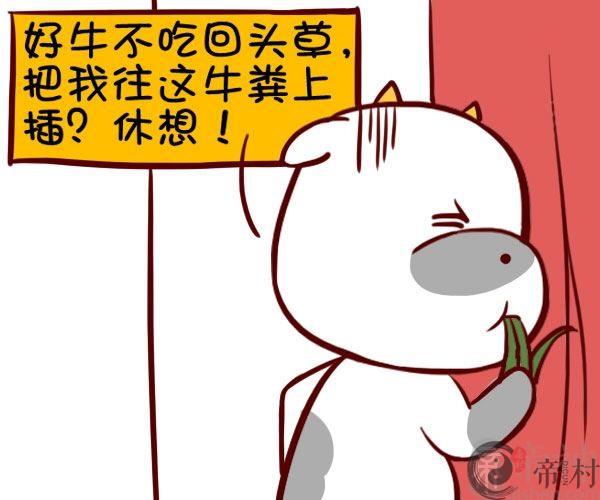 金牛座对前任求复合怎么办