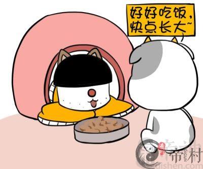 宠物眼中的金牛座是什么样子的
