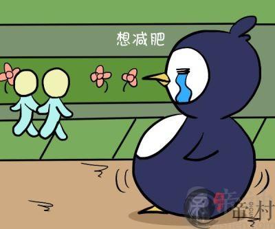 一句话激励水瓶女减肥