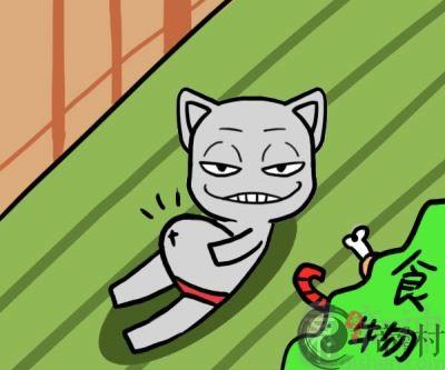 射手座的减肥秘籍