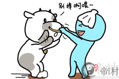 双鱼座爱情性格特点大揭秘，教你俘获浪漫多情的鱼儿！